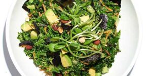 healthy organic kale sea vegetables salad in San Francisco Cafe Gratitude pop up